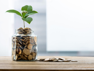 Plant emerging from jar of coins | Grow your savings | Moneyfacts