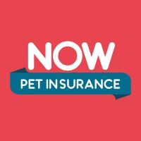 now pet insurance 