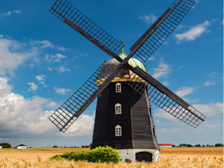 windmill in a corn field in front of a blue sky