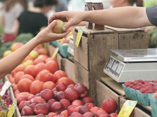 shopper buying apples