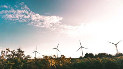 wind turbines in a field