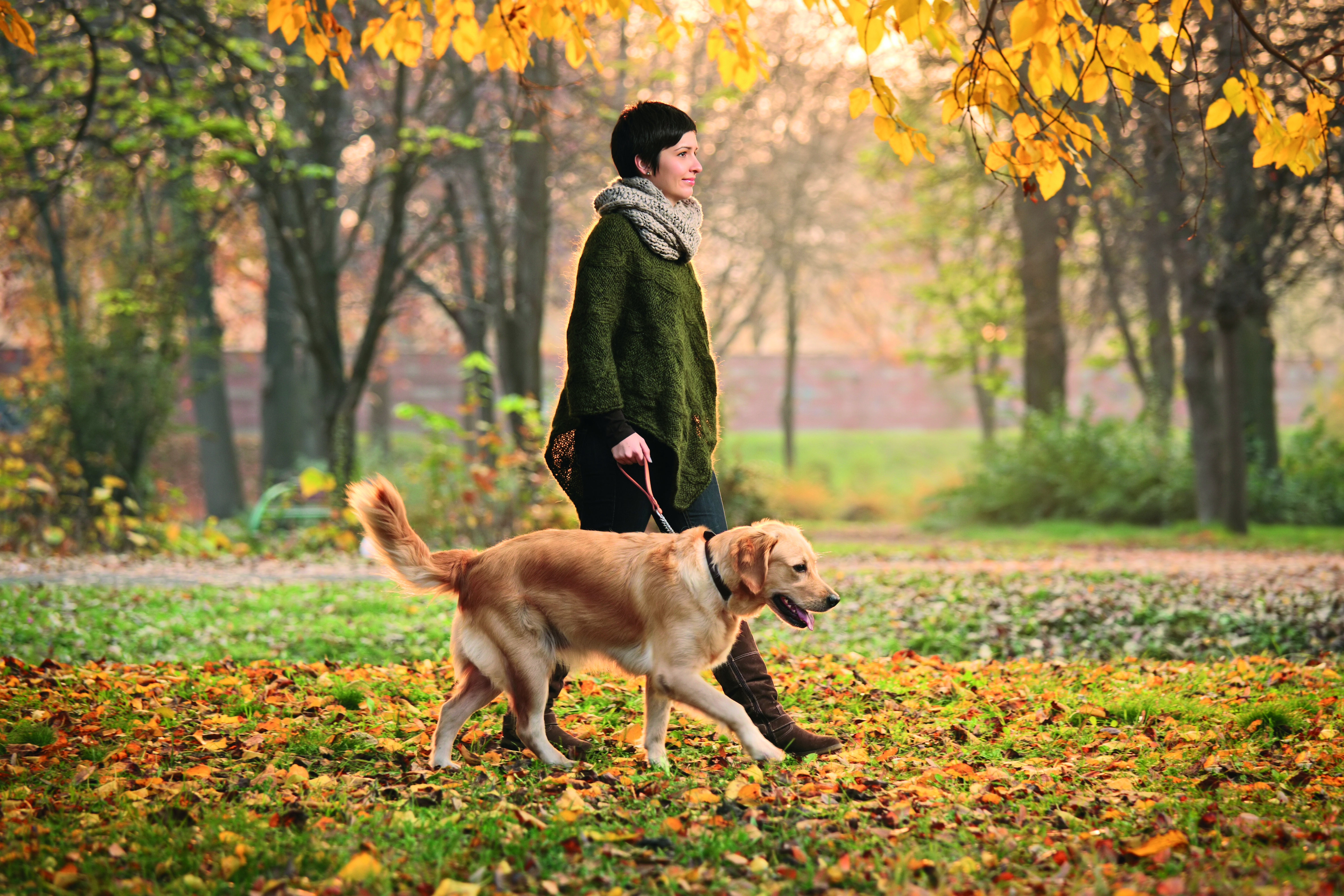 a women walking a dog