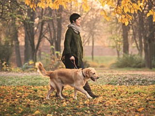 a women walking a dog