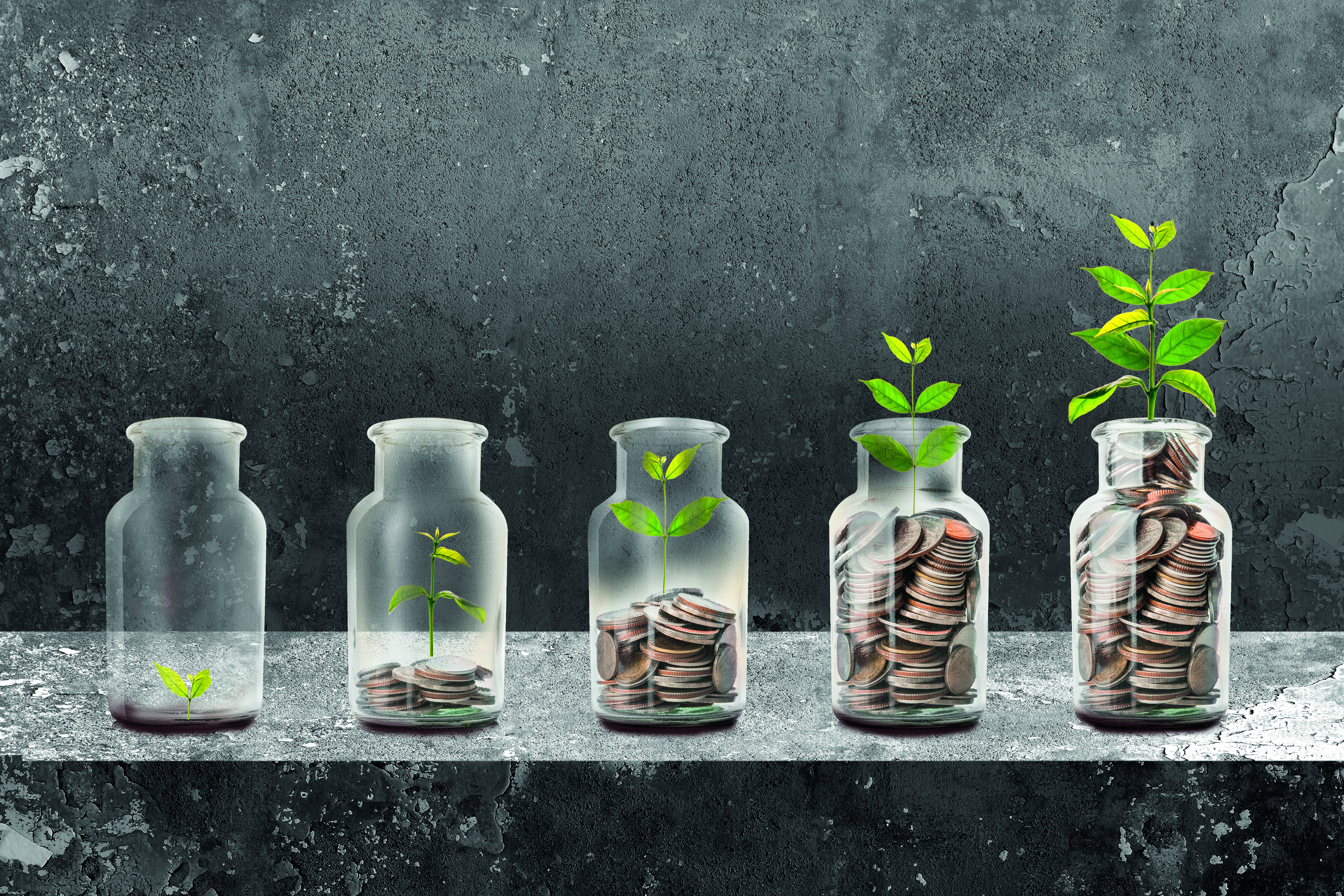 plants sprouting out of money jars