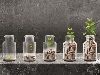 plants sprouting out of money jars