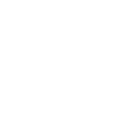 Health Insurance Icon