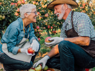 retired couple apple picking