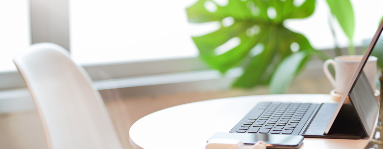 laptop in an office by a pot plant