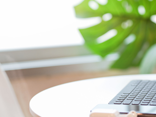 laptop in an office by a pot plant