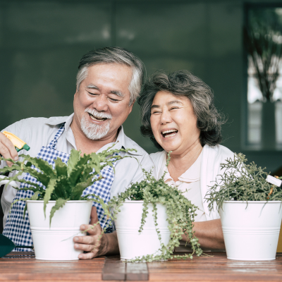 couple potting plants together