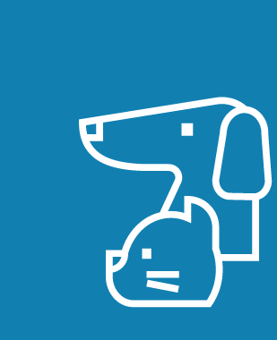 Pet Insurance Icon