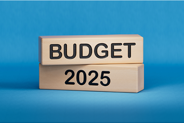 Wooden blocks with 'Budget 2025' written on them.