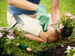 woman gardening
