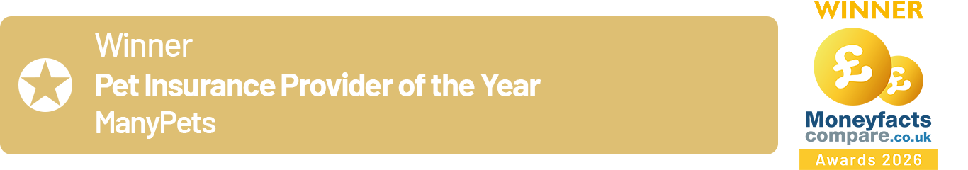 Pet Insurance Provider of the Year Winner Many Pets