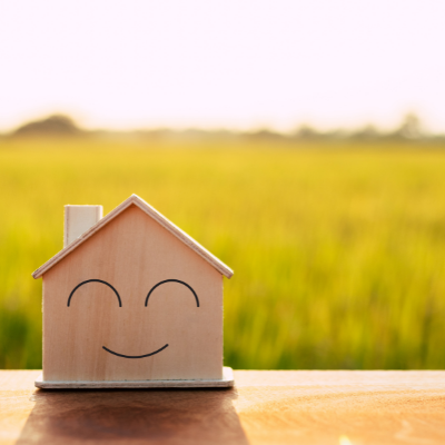 Wooden toy house in a field