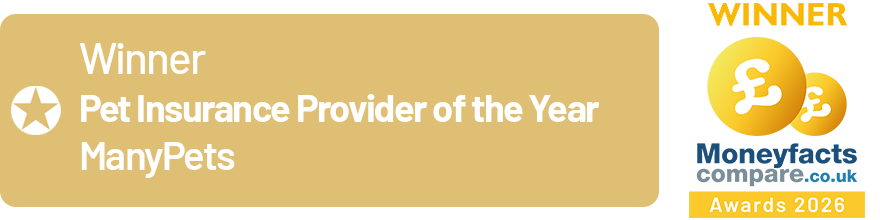Pet Insurance Provider of the Year Winner Many Pets