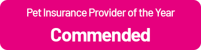 Pet Insurance Provider Commended
